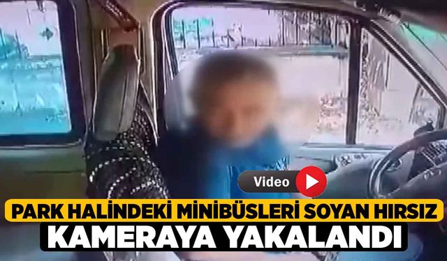 Park Halindeki Minibüsleri Soyan Hırsız Kameraya Yakalandı