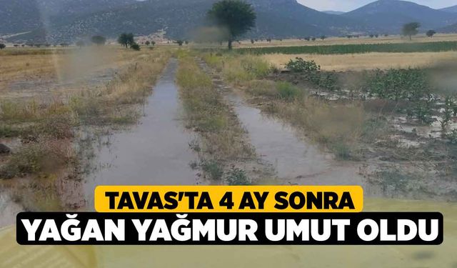 Tavas'ta 4 ay sonra yağan yağmur umut oldu