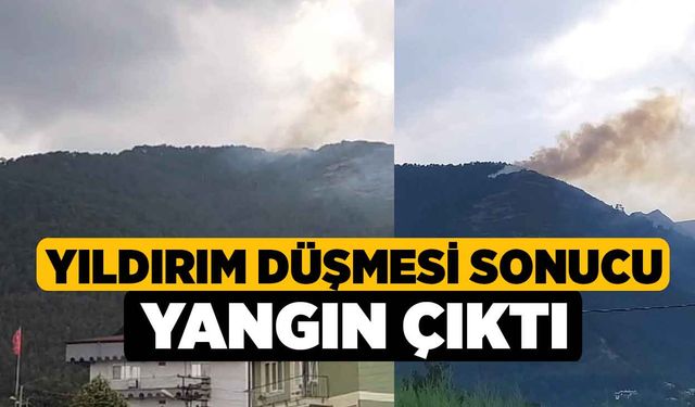 Yıldırım düşmesi sonucu yangın çıktı