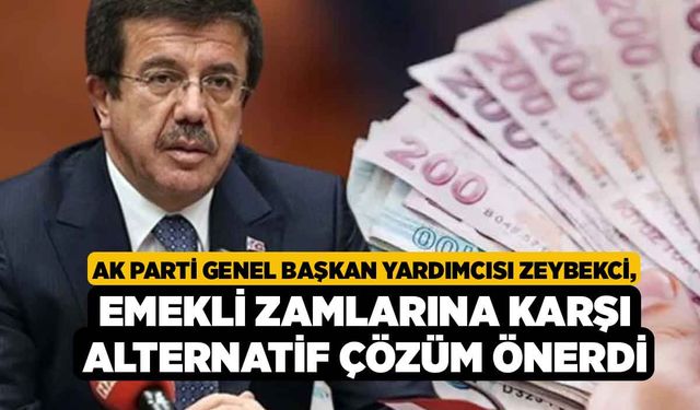 AK Parti Genel Başkan Yardımcısı Zeybekci, Emekli Zamlarına Karşı Alternatif Çözüm Önerdi