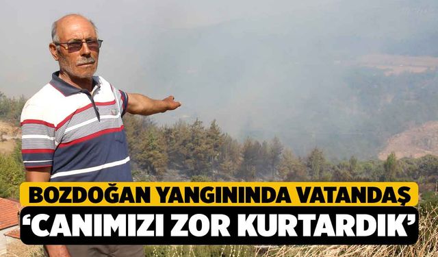 Aydın Bozdoğan’da Orman Yangını Yeşil Alanları Küle Çevirdi