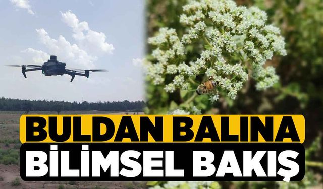 Buldan balına bilimsel bakış