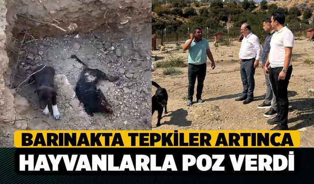 Tepkiler Artınca Belediye Başkanı Hayvan Barınağında Poz Verdi