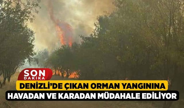 Denizli’de Çıkan Orman Yangınına Havadan ve Karadan Müdahale Ediliyor