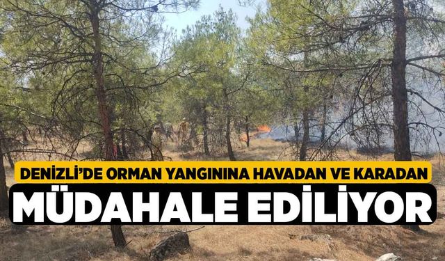 Denizli’de orman yangınına havadan ve karadan müdahale ediliyor