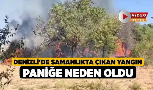 Denizli'de Samanlıkta Çıkan Yangın Paniğe Neden Oldu