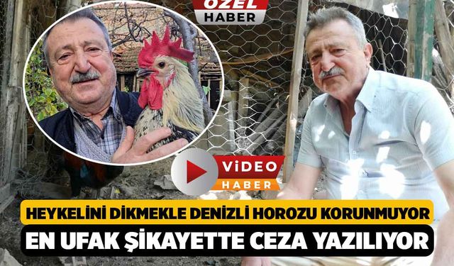 Heykelini Dikmekle Denizli Horozu Korunmuyor, En Ufak Şikayette Ceza Yazılıyor