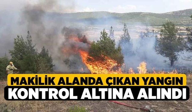 Makilik alanda çıkan yangın kontrol altına alındı