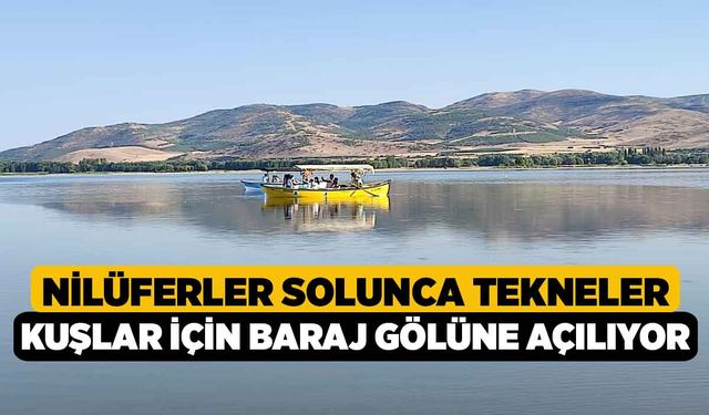 Nilüferler solunca tekneler kuşlar için baraj gölüne açılıyor