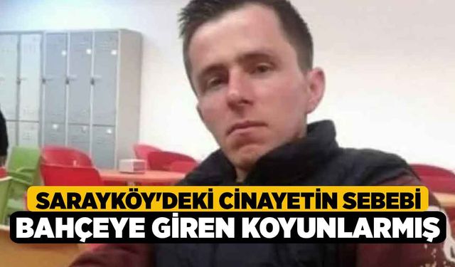 Sarayköy'deki Cinayetin Sebebi Bahçeye Giren Koyunlarmış