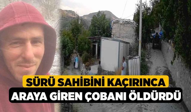 Sürü Sahibini Kaçırınca Araya Giren Çobanı Öldürdü