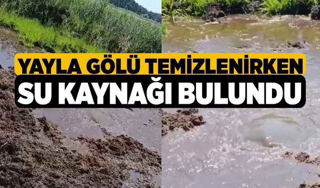 Yayla Gölü Temizlenirken Su Kaynağı Bulundu