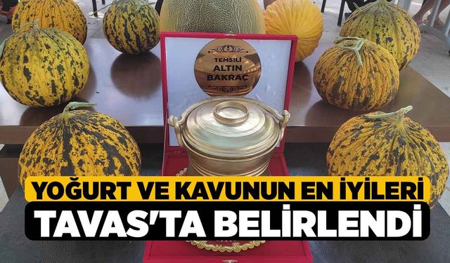 Yoğurt ve kavunun en iyileri Tavas'ta belirlendi