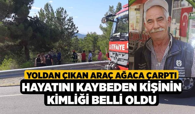 Yoldan Çıkan Araç Ağaca Çarptı, Hayatını Kaybeden Kişinin Kimliği Belli Oldu