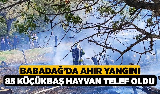 Babadağ'da Ahır Yangını 85 Küçükbaş Hayvan Telef Oldu