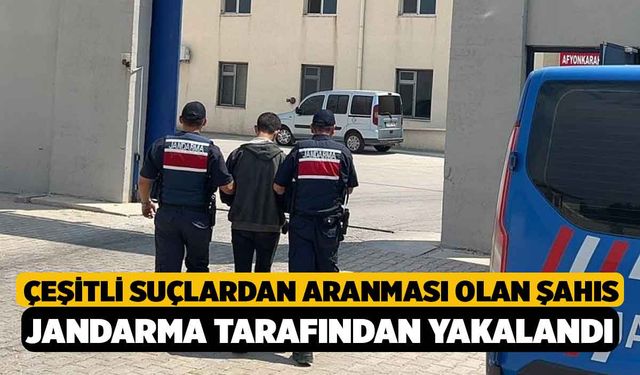 Çeşitli Suçlardan Aranması Olan Şahıs Jandarma Tarafından Yakalandı