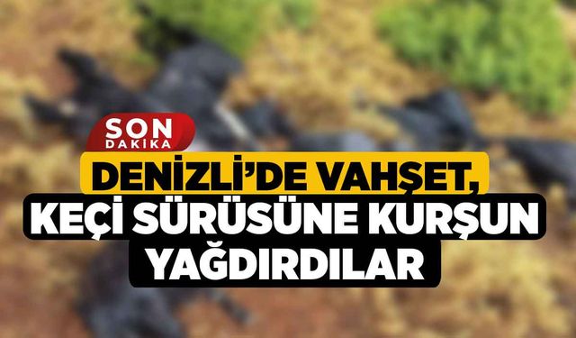 Denizli’de Vahşet, Keçi Sürüsüne Kurşun Yağdırdılar