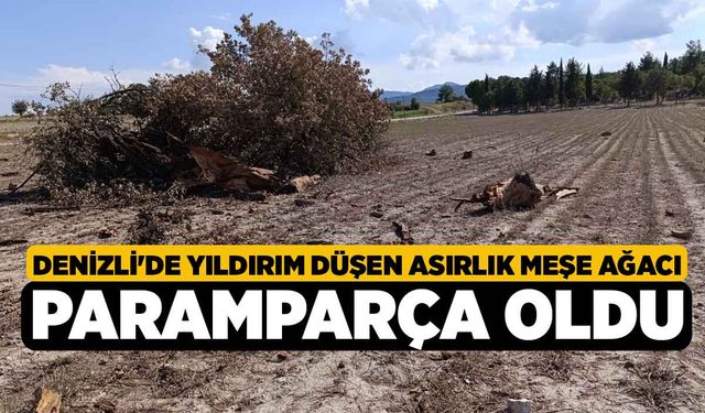 Denizli'de Yıldırım Düşen Asırlık Meşe Ağacı Paramparça Oldu