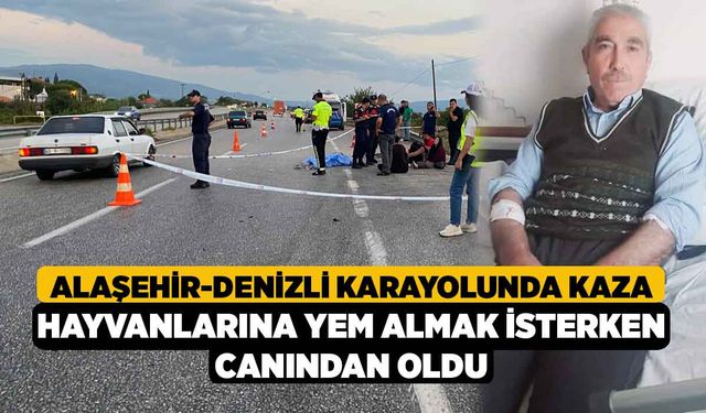 Hayvanlarına yem almak isterken canından oldu