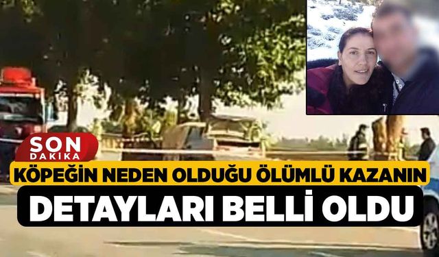 Köpeğin neden olduğu ölümlü kazanın detayları belli oldu