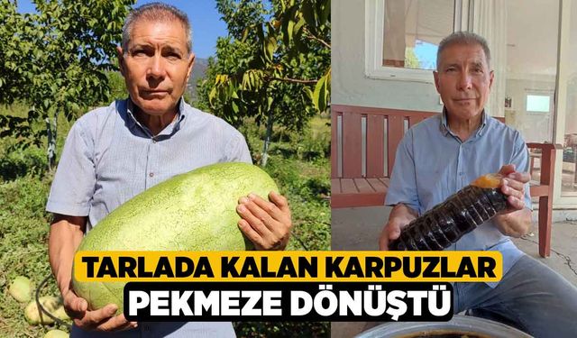 Tarlada Kalan Karpuzlar Pekmeze Dönüştü