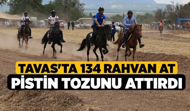 Tavas'ta 134 Rahvan At Pistin Tozunu Attırdı