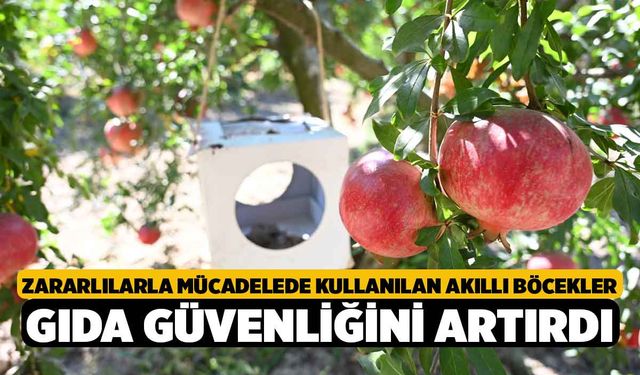 Zararlılarla mücadelede kullanılan akıllı böcekler gıda güvenliğini artırdı