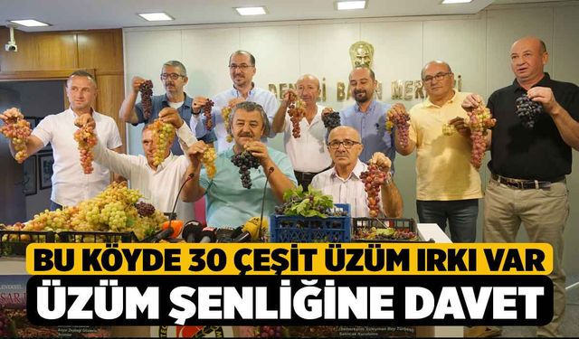 30 Çeşit Üzüm Irkı Bulunan Avşar'da Şenlik Var