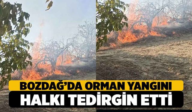 Bozdağ'da Orman Yangını Mahalleliyi Tedirgin Etti