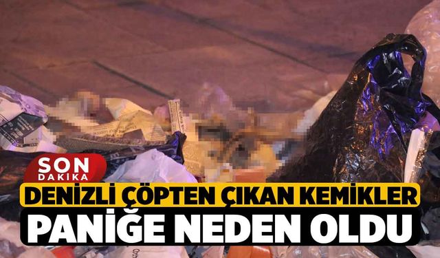 Denizli Çöpten Çıkan Kemikler Paniğe Neden Oldu