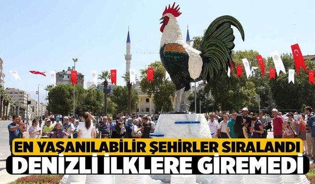 Denizli Türkiye'de En Yaşanılabilir İller Sırasında