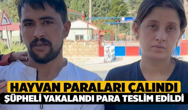 Sattıkları Hayvanların Parası Çalında Jandarma Parayı Getirdi