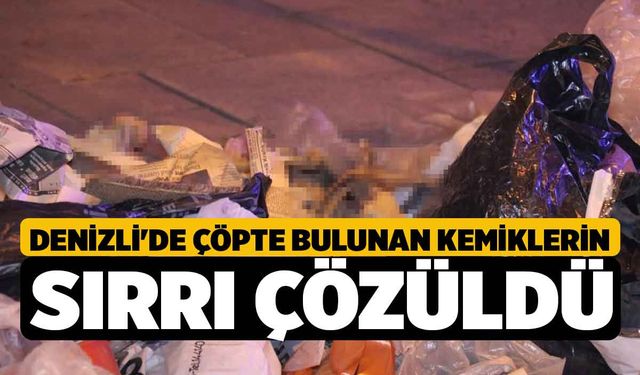 Denizli'de Çöpte Bulunan Kemiklerin Sırrı Çözüldü