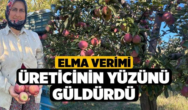 Denizli'de Elma Verimi Üreticinin Yüzünü Güldürdü