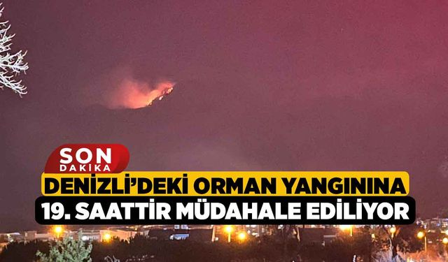 Denizli’deki orman yangınına 19. saattir müdahale ediliyor