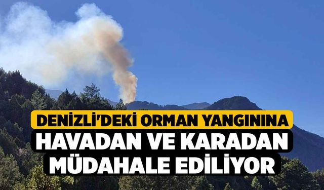 Denizli'deki orman yangınına havadan ve karadan müdahale ediliyor