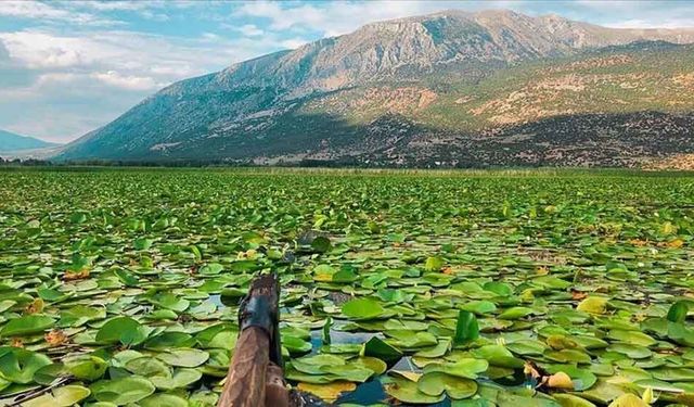 Denizli’nin Nilüferlerle Kaplı Işıklı Gölü Sonbaharda Bir Başka Güzel