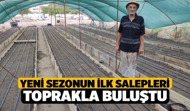 Yeni sezonun ilk salepleri toprakla buluştu