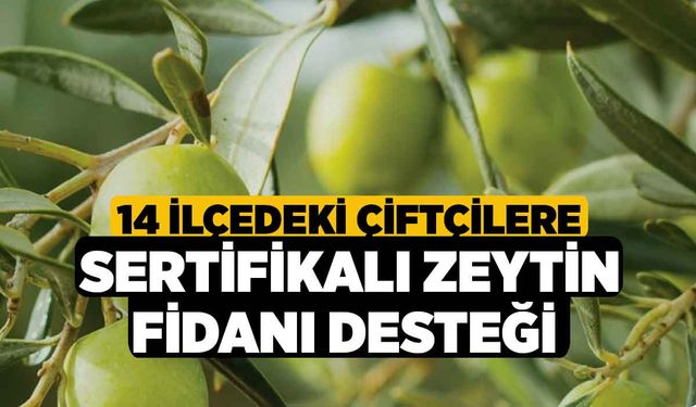 14 İlçedeki Çiftçilere Sertifikalı Zeytin Fidanı Desteği