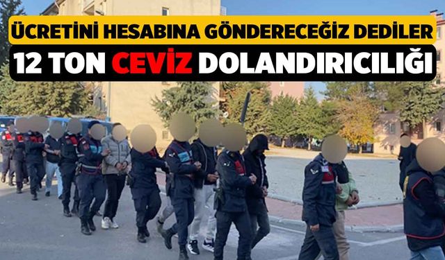 Parasını Hesaba Atacağız Dediler Ödemediler, 2 Milyonluk Ceviz Dolandırıcılığı