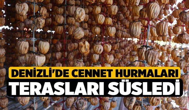 Denizli'de Cennet Hurmaları Terasları Süsledi