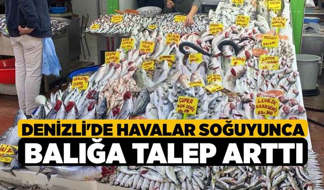 Denizli'de Havalar Soğuyunca Balığa Talep Arttı