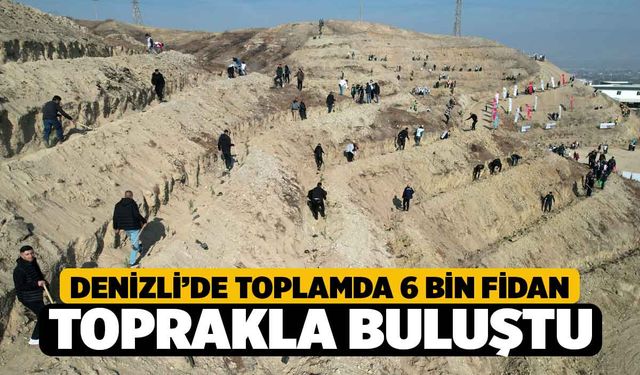 Denizli'de Toplamda 5 bin 916 fidanı toprakla buluştu