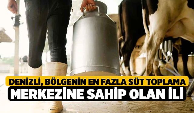 Denizli, bölgenin en fazla süt toplama merkezine sahip olan ili