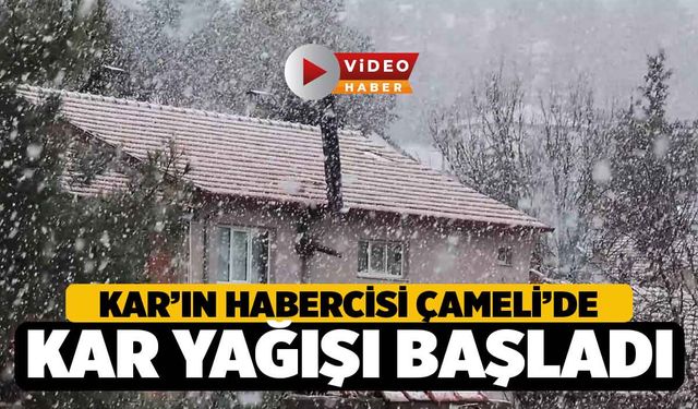 Denizli'de Kar Haberi Çameli'den Geldi, Çameli beyaza büründü