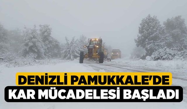 Denizli Pamukkale'de Kar Mücadelesi Başladı