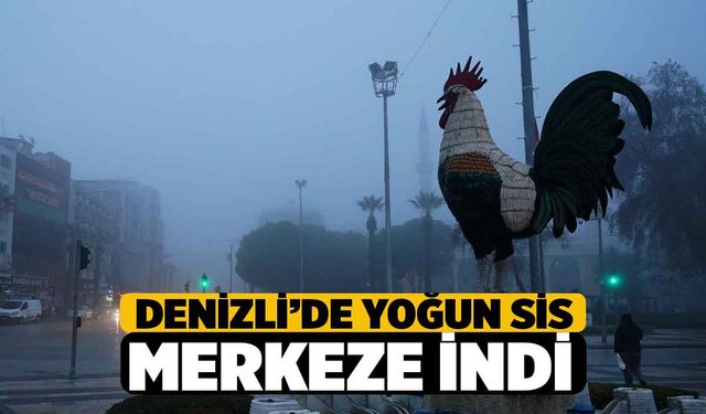 Denizli'de Sis Şehir Merkezine İndi