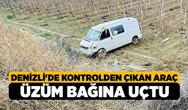 Denizli'de Kontrolden çıkan araç üzüm bağına uçtu