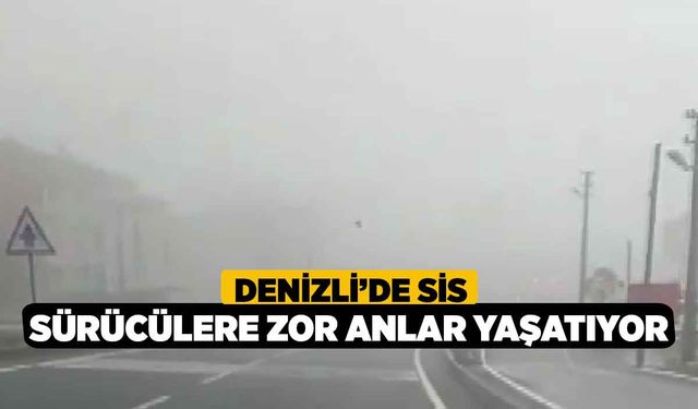 Denizli’de sis sürücülere zor anlar yaşatıyor