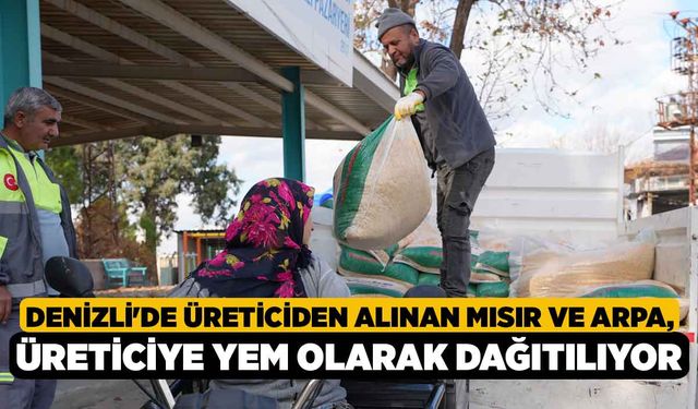 Denizli'de Üreticiden Alınan Mısır ve Arpa, Üreticiye Yem Olarak Dağıtılıyor